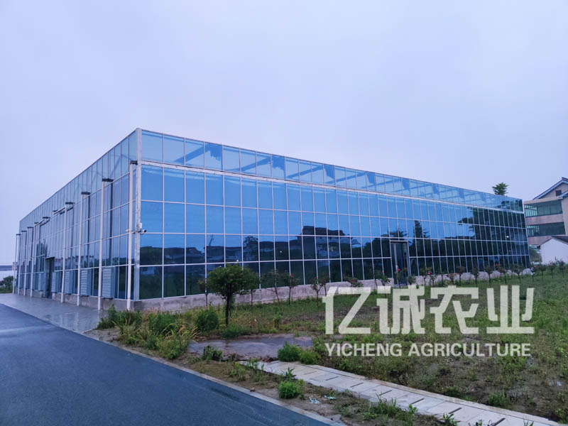 溫室大棚建設廠家